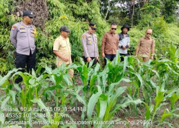 Kapolres Apresiasi Bumdes, Polsek Benai Dan Forkopimcam Tinjau Ketahanan Pangan Desa Seberang Teratak Air Hitam