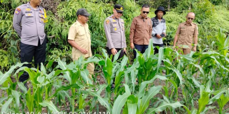 Kapolres Apresiasi Bumdes, Polsek Benai Dan Forkopimcam Tinjau Ketahanan Pangan Desa Seberang Teratak Air Hitam