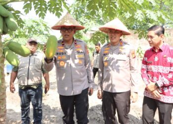 Brigjen Rudy Syafirudin Apresiasi Desa Percontohan P2B Banyuasin, “Tiap Rumah Harus Punya 7-8 Jenis Tanaman”