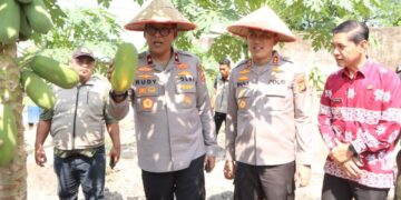 Brigjen Rudy Syafirudin Apresiasi Desa Percontohan P2B Banyuasin, “Tiap Rumah Harus Punya 7-8 Jenis Tanaman”