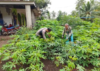 Bhabinkamtibmas Polsek Makarti Dorong Masyarakat Manfaatkan Lahan Pekarangan Rumah
