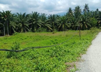 Kabel Listrik Tak Terawat Jatuh Ke Tanah, Warga Se- Kabupaten Aceh Tenggara Resah