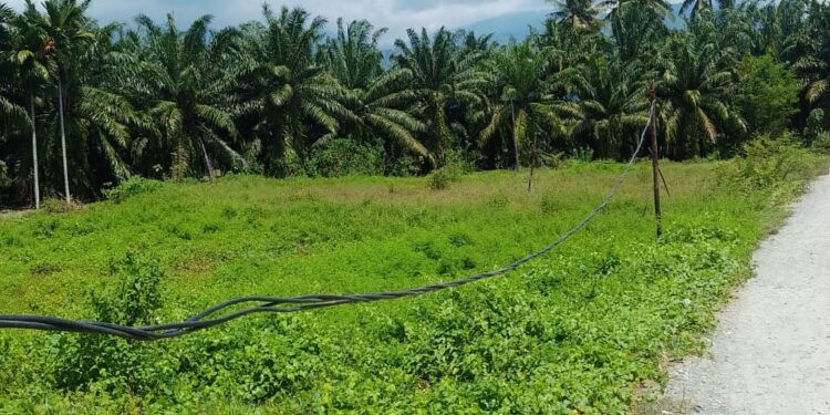 Kabel Listrik Tak Terawat Jatuh Ke Tanah, Warga Se- Kabupaten Aceh Tenggara Resah