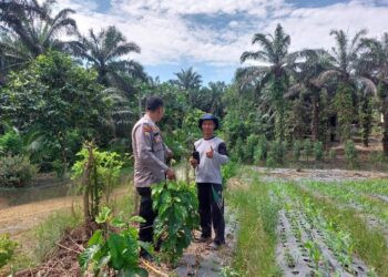 Polsek Pangkalan Lesung Sambangi Petani Dukung Ketahanan Pangan