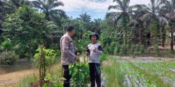 Polsek Pangkalan Lesung Sambangi Petani Dukung Ketahanan Pangan