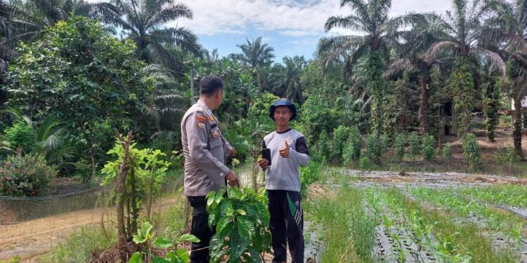 Polsek Pangkalan Lesung Sambangi Petani Dukung Ketahanan Pangan