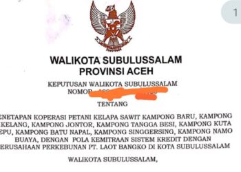Dugaan Temuan “Plasma Siluman” PT Laot Bangko, Siapa Dibalik Pembagian Lahan