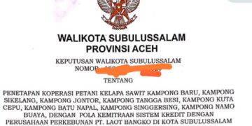 Dugaan Temuan “Plasma Siluman” PT Laot Bangko, Siapa Dibalik Pembagian Lahan