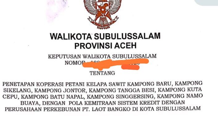 Dugaan Temuan “Plasma Siluman” PT Laot Bangko, Siapa Dibalik Pembagian Lahan