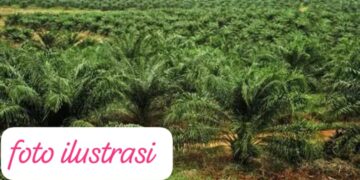 PT Laot Bangko Bungkam Terkait Dugaan Penyerobotan Lahan, Tokoh Penanggalan Tantang Adu Data