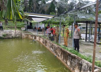 Cek Ketahanan Pangan, Kasat Binmas Polres Pelalawan Kunjungi Lahan Pekarangan Bergizi Milik Warga di Pangkalan Kuras