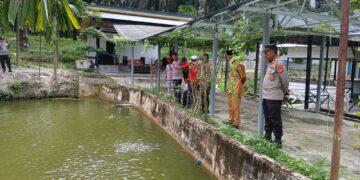 Cek Ketahanan Pangan, Kasat Binmas Polres Pelalawan Kunjungi Lahan Pekarangan Bergizi Milik Warga di Pangkalan Kuras