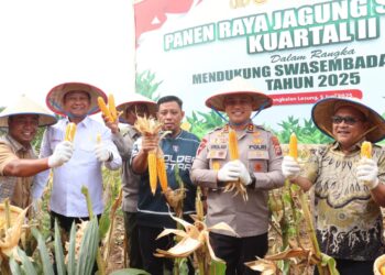 Kapolres Pelalawan Ikut Panen Raya Jagung Serentak, Dukung Swasembada Pangan 2025