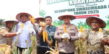 Kapolres Pelalawan Ikut Panen Raya Jagung Serentak, Dukung Swasembada Pangan 2025