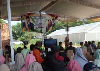 Panen Raya Jagung Serentak Tahun 2025 Kota Palembang