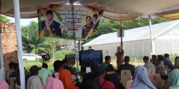 Panen Raya Jagung Serentak Tahun 2025 Kota Palembang