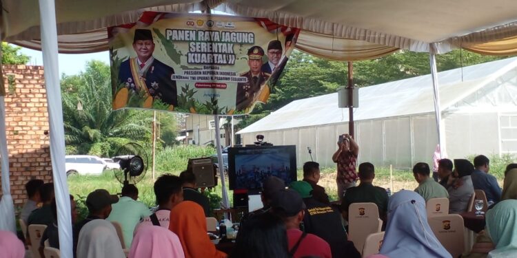 Panen Raya Jagung Serentak Tahun 2025 Kota Palembang