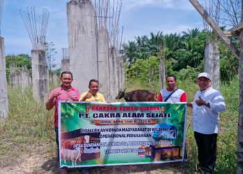 PT Cakra Alam Sejati Salurkan Sapi Kurban ke 4 Desa di Pelalawan