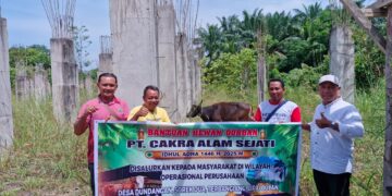 PT Cakra Alam Sejati Salurkan Sapi Kurban ke 4 Desa di Pelalawan