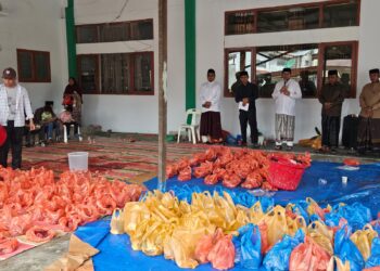 Rayakan Idul Adha 1446 H, Kemenag Aceh Tengah Sembelih 15 Ekor Hewan Qurban