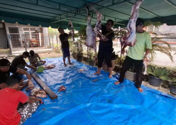 IKA BKPRMI Kota Medan Tebar Satu Hewan Qurban Di Idul Adha 1446 H