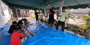 IKA BKPRMI Kota Medan Tebar Satu Hewan Qurban Di Idul Adha 1446 H