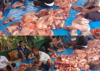 Idul Adha 1446 H, RKBN Sembelih Qurban Wujudkan Kolaborasi Ratusan Relawan Bergerak