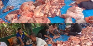 Idul Adha 1446 H, RKBN Sembelih Qurban Wujudkan Kolaborasi Ratusan Relawan Bergerak
