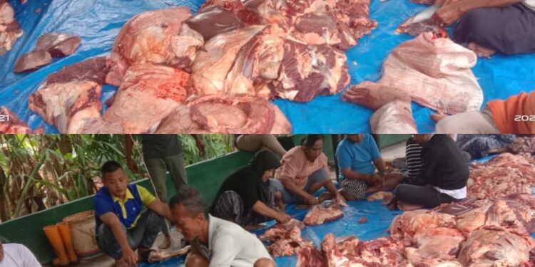 Idul Adha 1446 H, RKBN Sembelih Qurban Wujudkan Kolaborasi Ratusan Relawan Bergerak