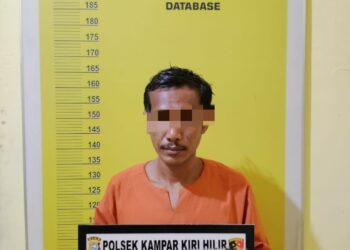 Polsek Kampar Kiri Hilir Tangkap Pelaku Penganiayaan, Korban Mengalami Parah Tulang Hidung