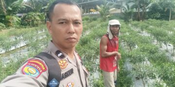Dukung Program Asta Cita Presiden, Bhabinkamtibmas Tinjau Kebun Pekarangan Mandiri Warga Pematang Tinggi