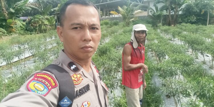 Dukung Program Asta Cita Presiden, Bhabinkamtibmas Tinjau Kebun Pekarangan Mandiri Warga Pematang Tinggi