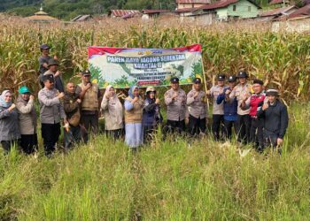 Polres Aceh Tengah Gelar Panen Raya Jagung Kuartal II Di Kecamatan Lut  Tawar