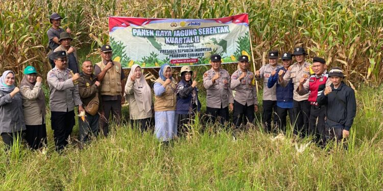 Polres Aceh Tengah Gelar Panen Raya Jagung Kuartal II Di Kecamatan Lut Tawar