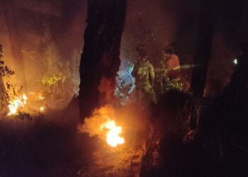 Personil Polsek Dan Koramil Linge Berhasil Padamkan Api Di Kampung Kute Robel Isaq