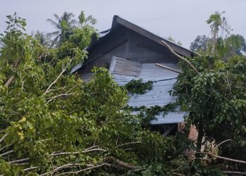 Warung Kelontong Tertimpa Pohon Tumbang