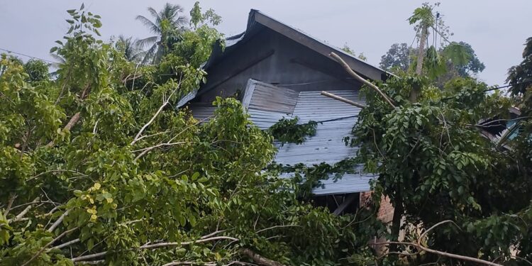 Warung Kelontong Tertimpa Pohon Tumbang