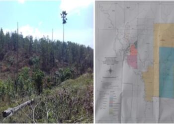 Satgas Inti Prabowo Kecam Perusahaan Perusak Hutan, Desak Negara Bertindak Tegas
