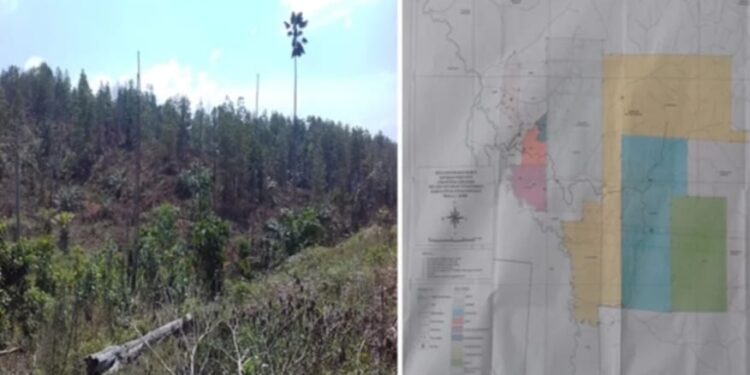 Satgas Inti Prabowo Kecam Perusahaan Perusak Hutan, Desak Negara Bertindak Tegas