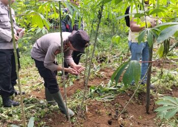 Motivasi Warga Binaan Perkuat Ketahanan Pangan, Polsek Linge Terjun Langsung Bersama Masyarakat