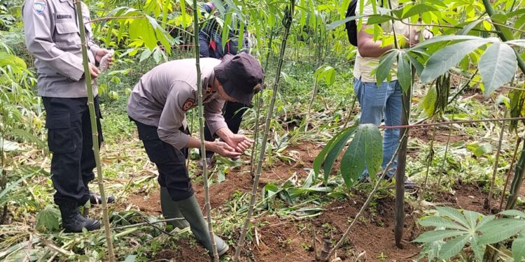 Motivasi Warga Binaan Perkuat Ketahanan Pangan, Polsek Linge Terjun Langsung Bersama Masyarakat