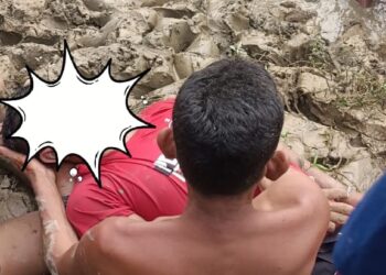 Seorang Pemuda Meninggal Diterkam Buaya Saat Cari Kerang Air Tawar di Aceh Timur