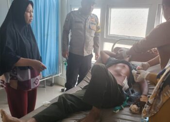 Talep Warga Negeri Antara, Pintu Rime Gayo Di Serang Gajah Liar 
