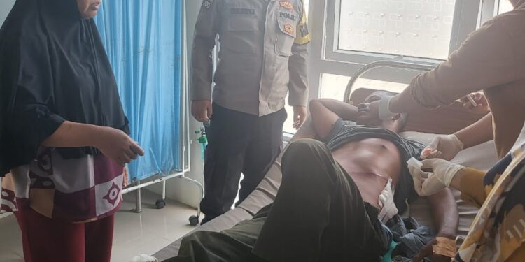 Talep Warga Negeri Antara, Pintu Rime Gayo Di Serang Gajah Liar