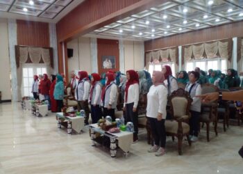 Edukasi Kader PKK Dalam Rangka HBDI Ke-117 Dan Hari Jadi Kota Palembang Ke-1342