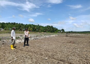 Polsek Pangkalan Kuras Tinjau Lahan Ketahanan Pangan di HGU PT Surya Bratasena