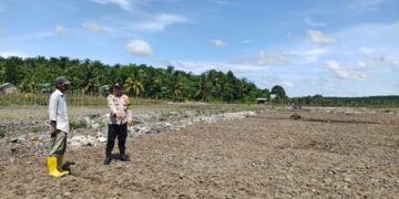 Polsek Pangkalan Kuras Tinjau Lahan Ketahanan Pangan di HGU PT Surya Bratasena