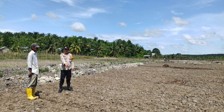 Polsek Pangkalan Kuras Tinjau Lahan Ketahanan Pangan di HGU PT Surya Bratasena
