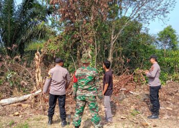 Polsek Pangkalan Lesung dan TNI Gencar Sosialisasi Larangan Membuka Lahan dengan Membakar