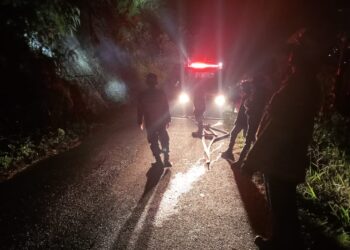 Kobaran Api Lahap Lahan Kosong Di Kampung Pepalang, Upaya Pemadaman Terkendala Medan Terjal